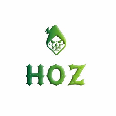 HozHell's profile picture. Gamer