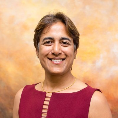 Hemai Parthasarathy Profile