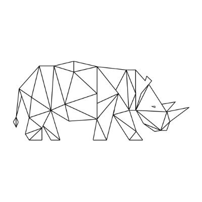Rhinocoin is a cryptocurrency that supports the sustainable conservation of Africa's rhinos.