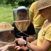Apiopolis 🐝 (@apiopoliskeeper) Twitter profile photo Apiopolis 🐝 (@apiopoliskeeper) Twitter profile photo