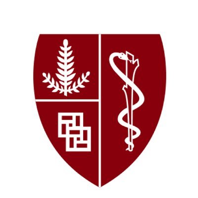 Stanford Science, Technology and Medicine Program Profile