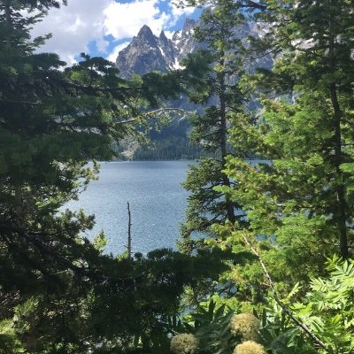 WithConEm's profile picture. I'm kinda bad at bios

Everything Is Temporary 

We are the swords and we are the archers 🎯

#4 Josh BROZZESI Stan

AWSTEN liked my tweet 4/10/19