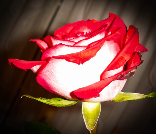 mannyps's profile picture. Jest here to see what people have to say