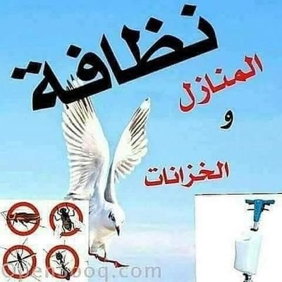 شركة تنظيف خزانات
شركة تنظيف منازل
شركة تنظيف شقق
شركة تنظيف فلل
شركة تنظيف عماير
غسيل كنب ومساند
غسيل باطرمة
مكافحة الحشرات