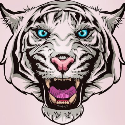 NobahCedric's profile picture. 