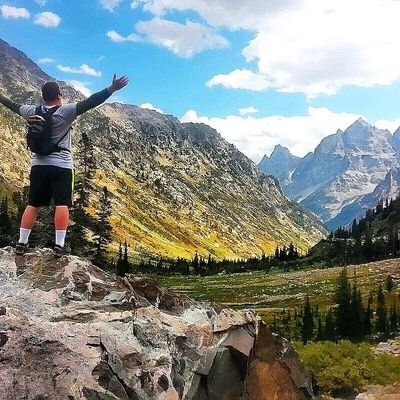 gvn_kiwi's profile picture. 