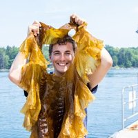 Shane P Farrell (@farrellurchin) 's Twitter Profile