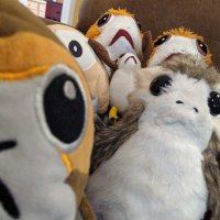 The Porgs (@porgchronicles) 's Twitter Profile Photo The Porgs (@porgchronicles) 's Twitter Profile Photo
