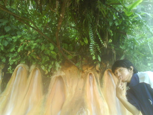 pariwisata ui