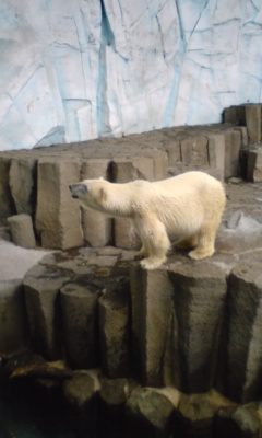 kgzuklion's profile picture. BAR、baseball、F1、シガー、サウナ、ジョギング、アル中