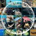 Fish Evolution Lab (@fishevolabsio) Twitter profile photo Fish Evolution Lab (@fishevolabsio) Twitter profile photo