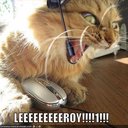 teri lyn - @ladymarines69 - Twitter