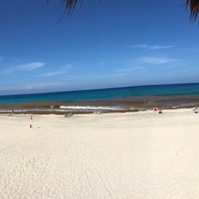 JYuritzi's profile picture. 