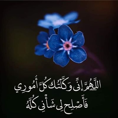 ahmedklif503's profile picture. الحمد لله دائما وابدا