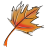 icefall57's profile picture. 