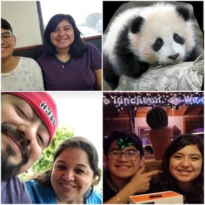 Perez1Myrna's profile picture. 