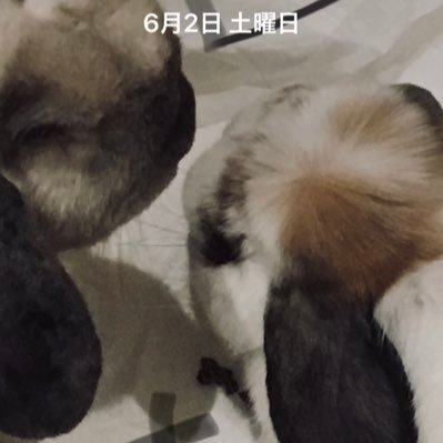 mYXi1MOL4sLaU43's profile picture. 