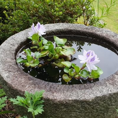 thwoo59's profile picture. '더불어 살자'