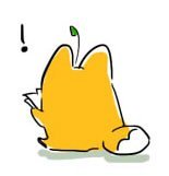 🍃さんのプロフィール画像
