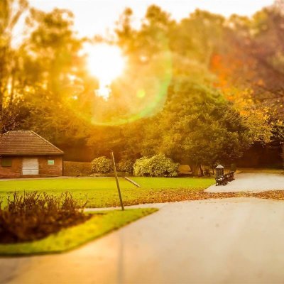 ding_darcy's profile picture. PCB seller