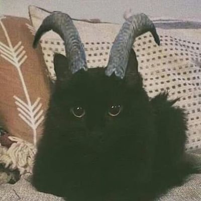 Alejand55275466's profile picture. Pues,por meca se borró mi antigua cuenta Alv.