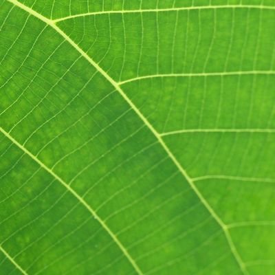 ブログ「怒れない育児(https://t.co/UBaSHU6PMX)」 をやってました。平凡なサラリーマンで二児の父。育児奮闘中。怒れないけど間違った考えに対しては叱ります。