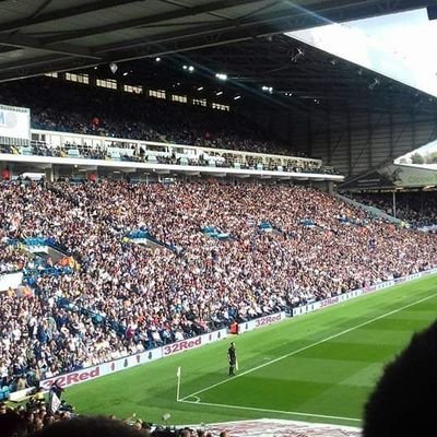 The forum and blog where we debate and discuss Leeds United in sickness and in health.
Blog articles available here: https://t.co/Q987l4lLWQ