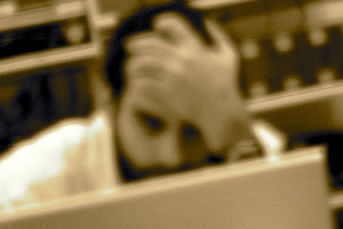 taolike's profile picture. 