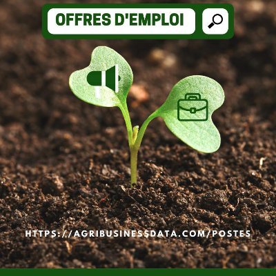 Agribusiness Data est une plateforme de collecte, traitement et d'analyse de données, d'information et de formation en #Agribusiness en Afrique. #Agriculture