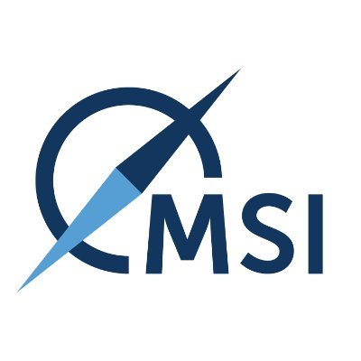 From compliance to investment advice, MSI offers high level, independent market forecasting and advisory services for shipping and its allied industries