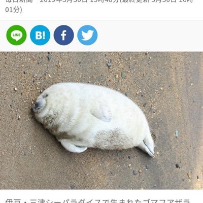 趣味用アカウントです