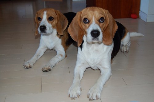 geezaukc's profile picture. 