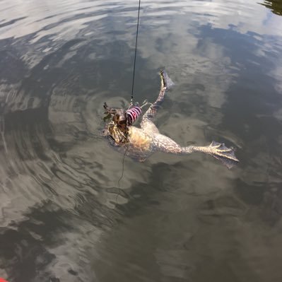 morimory326's profile picture. 