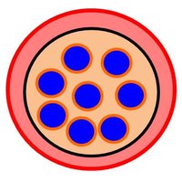 Julien Guizetti (@guizettilab) 's Twitter Profile Photo