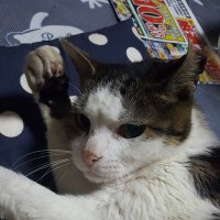 もうり (@ykddve2psdmihmo) 's Twitter Profile
