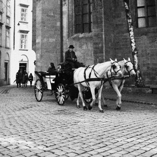 MaKusunoki's profile picture. 左画像はウィーンのSchulhofの路地、Kirche am Hof（アムホーフ教会）の前をいくフィアカー、2019/5/3撮影。
そしてリンクを走る市電、2019/5/2撮影。