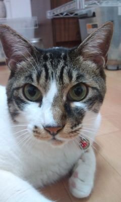 K0LkmLYkigfbxHH's profile picture. 