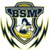 BSMHandball (@bhandball) Twitter profile photo BSMHandball (@bhandball) Twitter profile photo