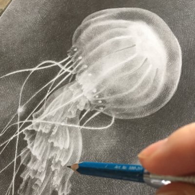 つだなおこ　Tsuda Naokoさんのプロフィール画像