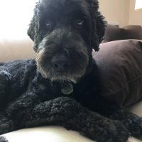 Marc Fleisher (@fleishermarc) 's Twitter Profile