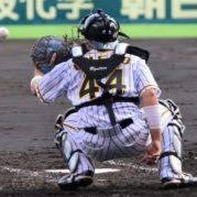 YnAiwoaDInLdatU's profile picture. 虎が大好き🐯💗

阪神の勝率がいい球場に住む大学1年です！！

阪神ファンの方無言フォローさせていただきます(*´ｰ｀)