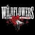 The Wildflowers -Tom Petty & Heartbreakers Tribute (@wildflowersal) Twitter profile photo The Wildflowers -Tom Petty & Heartbreakers Tribute (@wildflowersal) Twitter profile photo