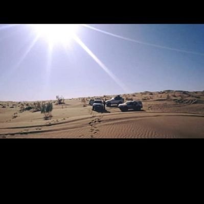 Galam81515760's profile picture. t