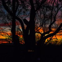 AZ Living (@findafabhome) 's Twitter Profile