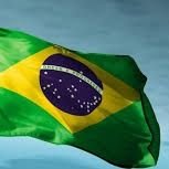 100% Bolsonaro 🇧🇷🇧🇷🇧🇷,  Brasileiro, Patriota, Conservador, Anti PT, Contra esquerda, Um filho teu não foge à luta...