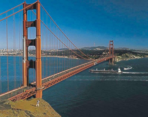 HajaHeartAmigo's profile picture. 