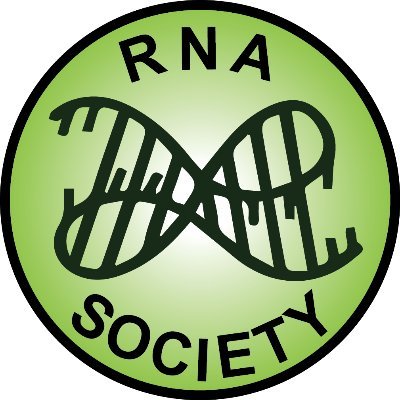 RNA Society Jr Scientist Committee! Daniel Oh @daniel_s_oh, Jimin Yoon @yooniquescience, Belén Moro-Rotherham @lamozamalaonda, and Laura Hertz @Laura_M_Hertz