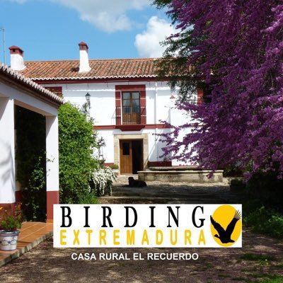 Casa Rural El Recuerdo. Rural Accommodation near Trujillo, Extremadura. We love birdwatching, astronomy, photography, nature, reiki and football. #birding