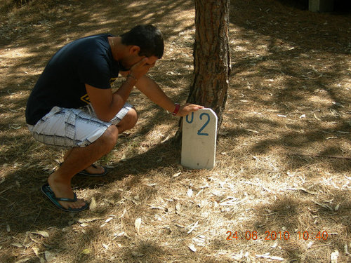 maurizio_us's profile picture. 5500+ days of experience
Hobby researcher 
Physiotherapists
Amateur photographer
Crypto lover