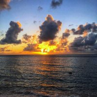 YAMCHA (@yamcha9192) 's Twitter Profile